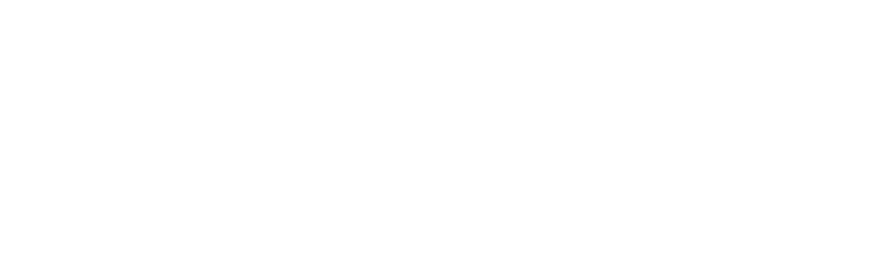 NeoGiverse Logo